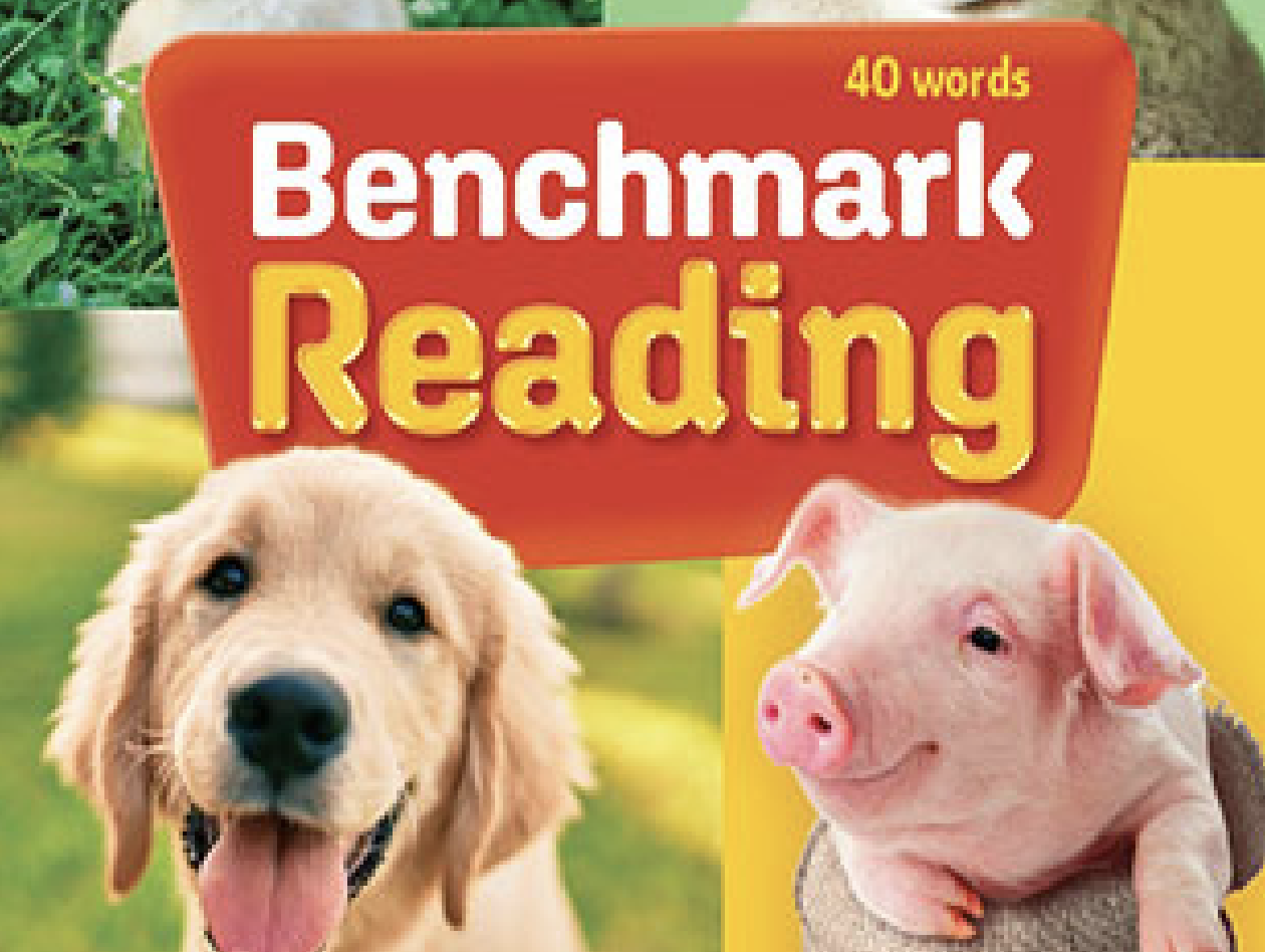 Benchmark Reading 1.2