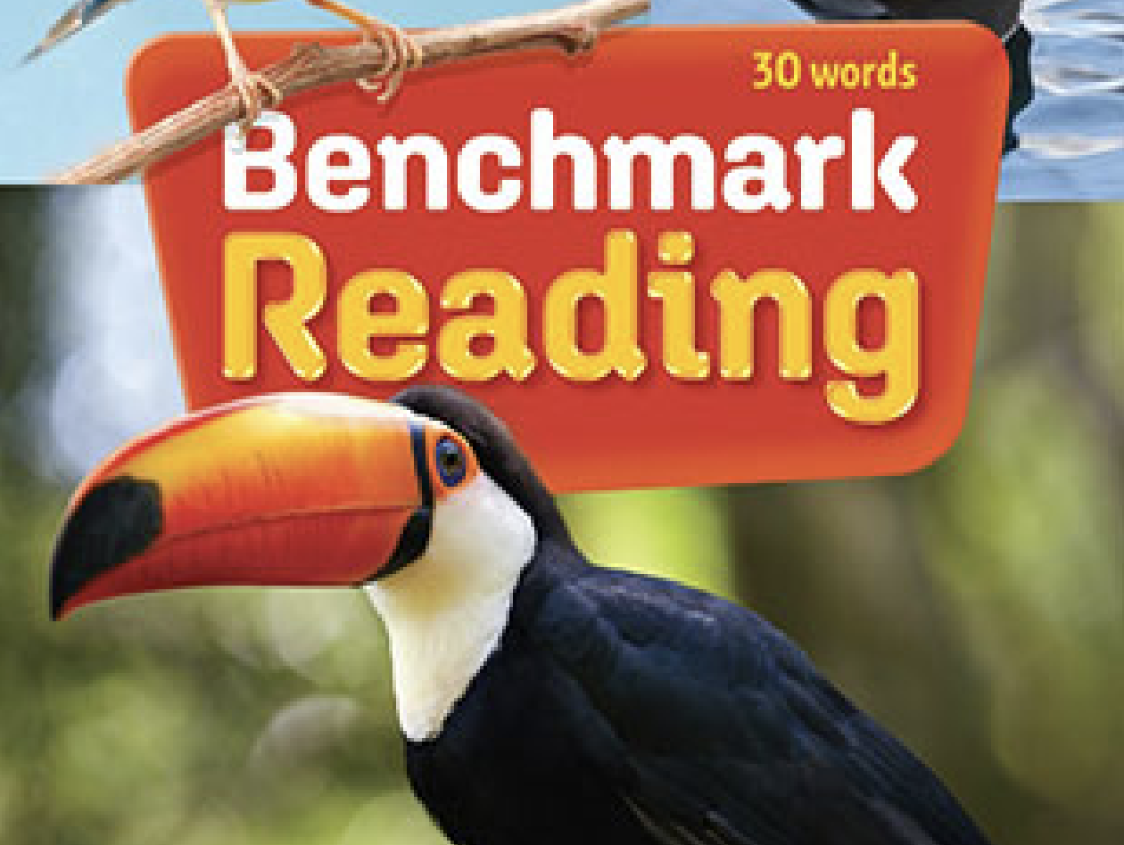 Benchmark Reading 1.1