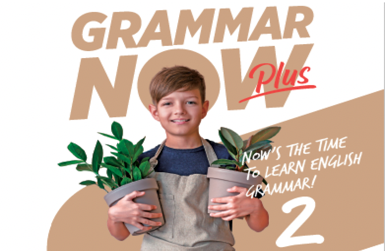 Grammar Now Plus 2