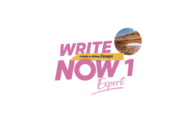 Write Now Expert 1